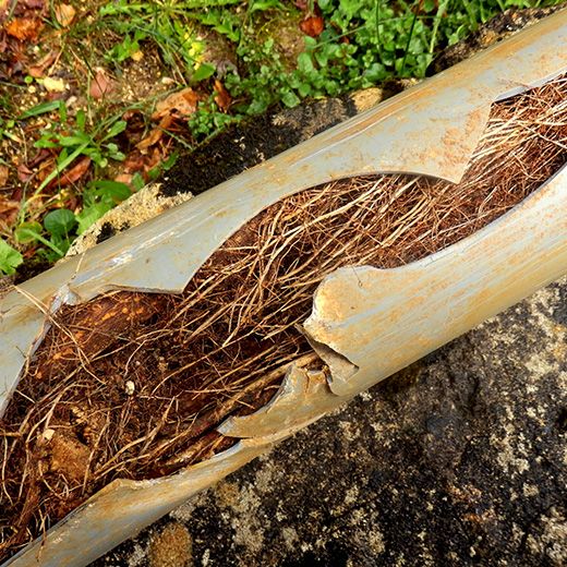 Same Day Drain Sewer & Rooter Pros Across Pittsfield